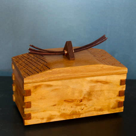 Birch and elm winter woods box